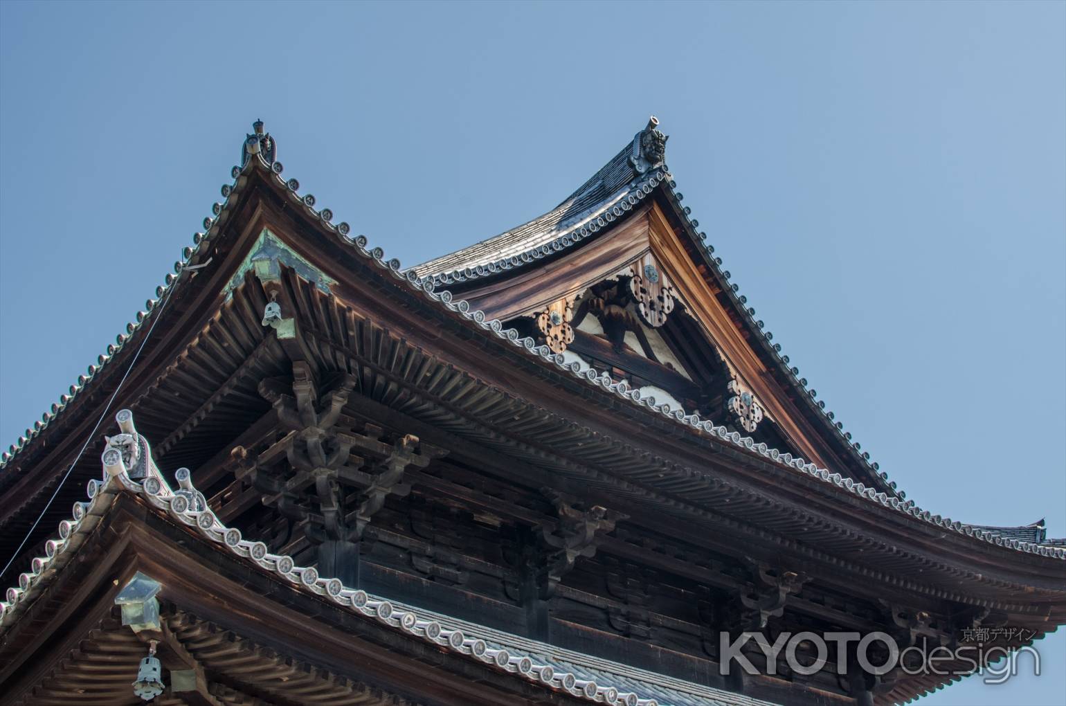 東福寺本堂の屋根を仰ぎ見る