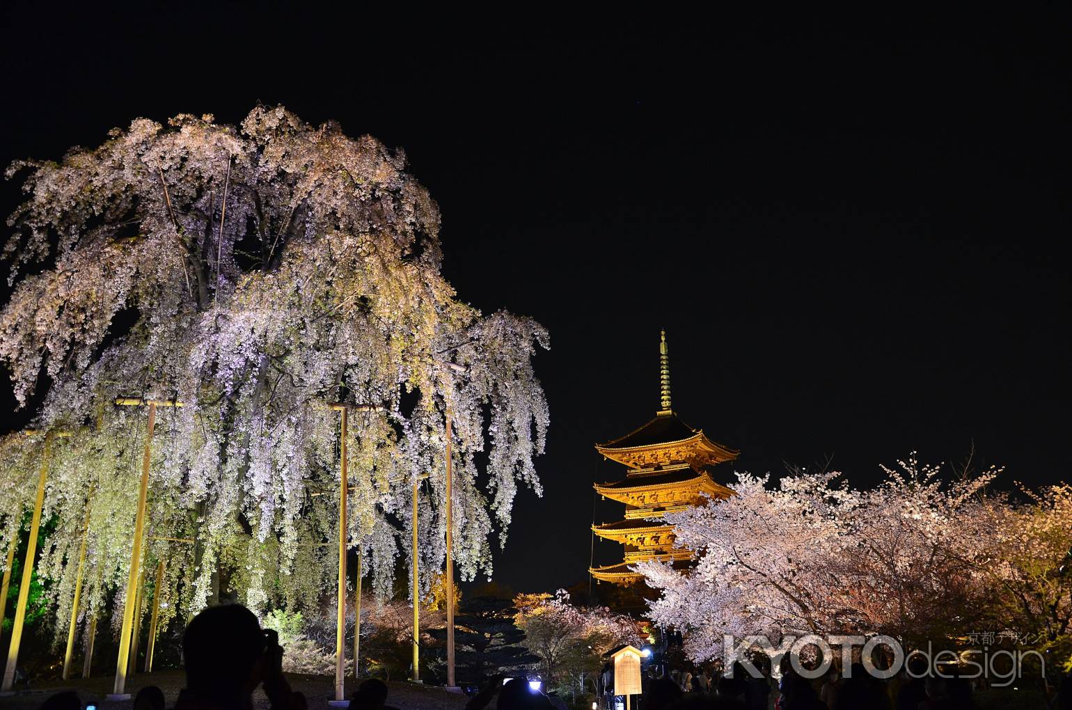 夜の東寺を楽しむ