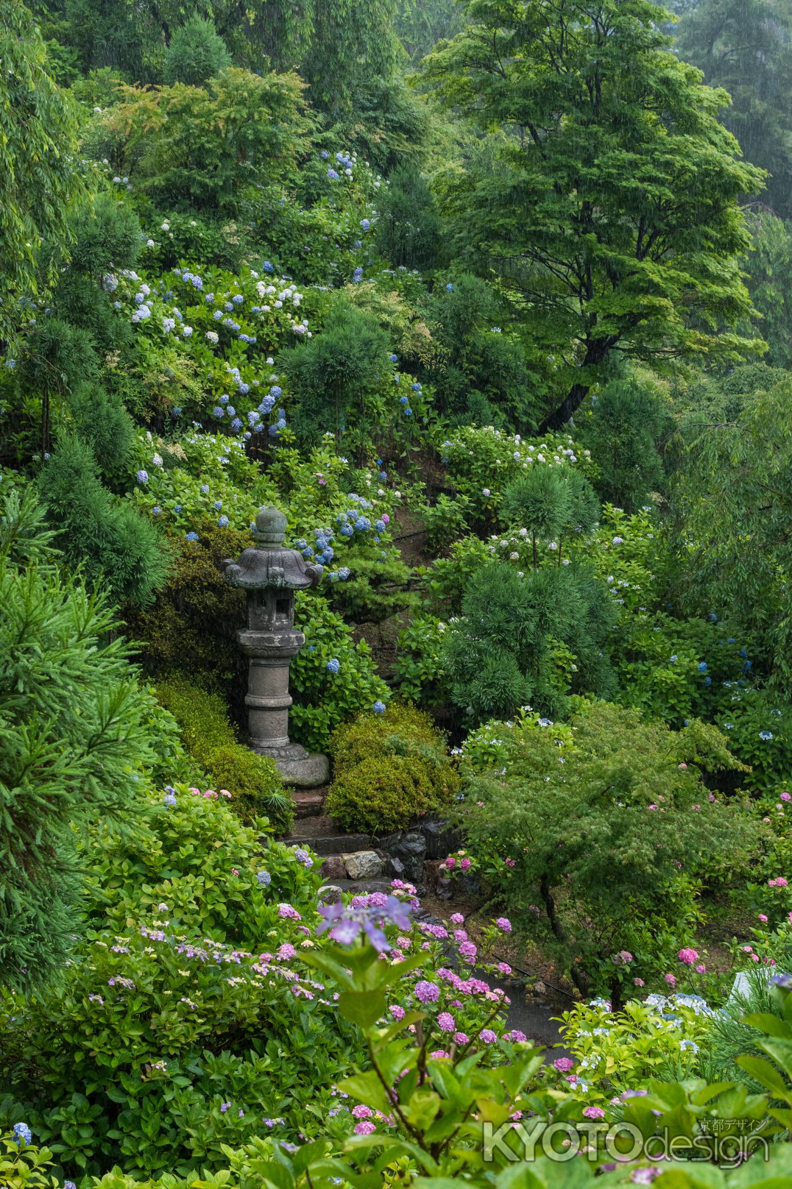 雨の善峯寺、あじさい苑の石灯籠