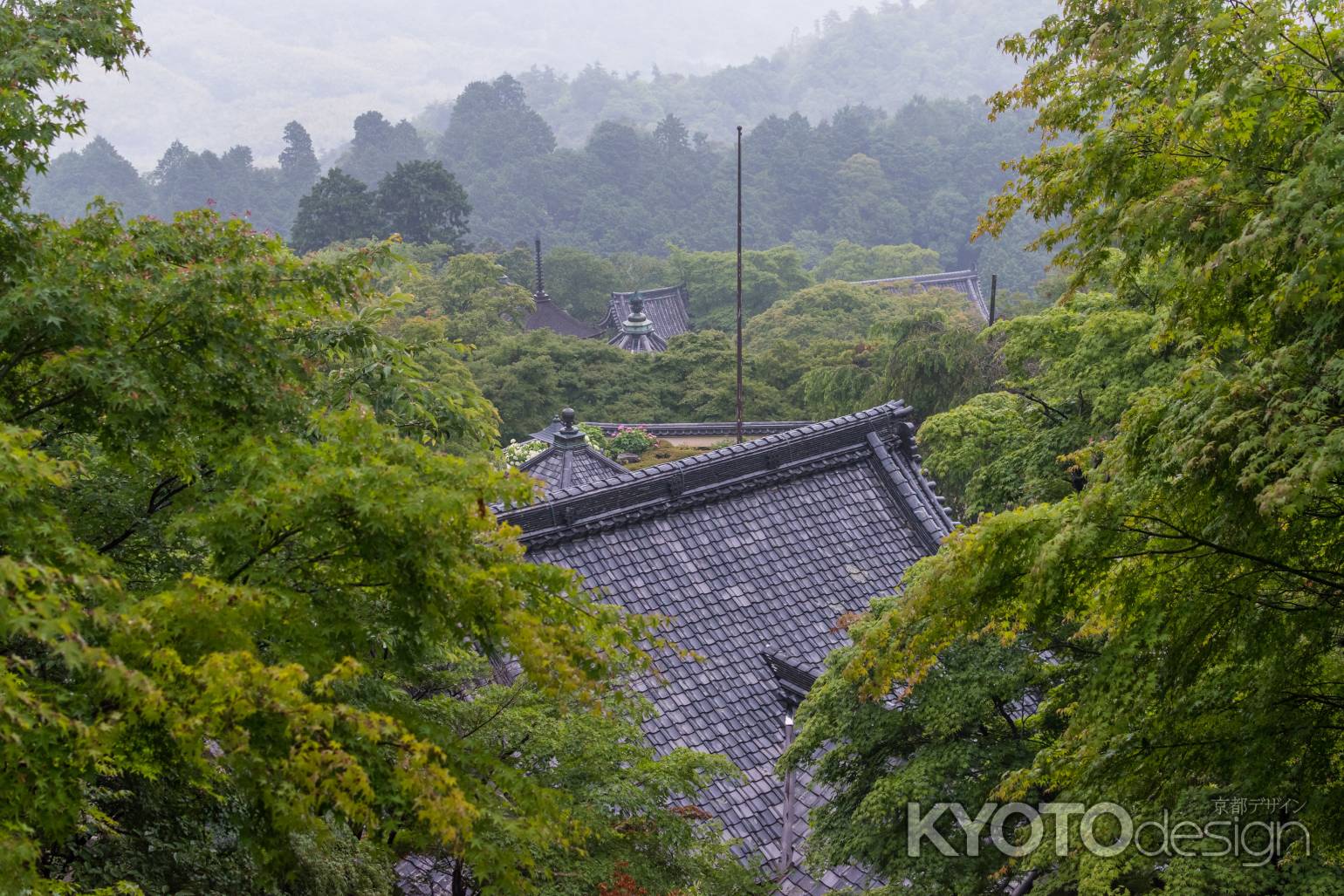 雨の善峯寺、山中の境内は霧に包まれて