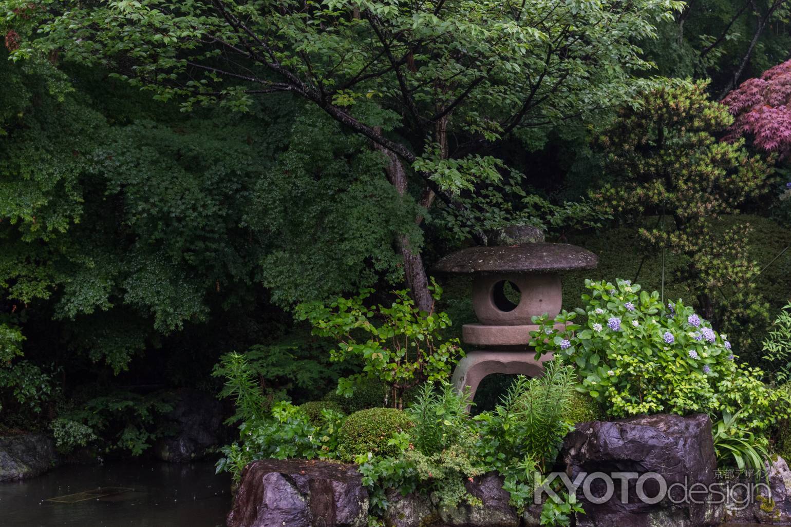 雨の善峯寺、薬師堂裏手の池と庭園