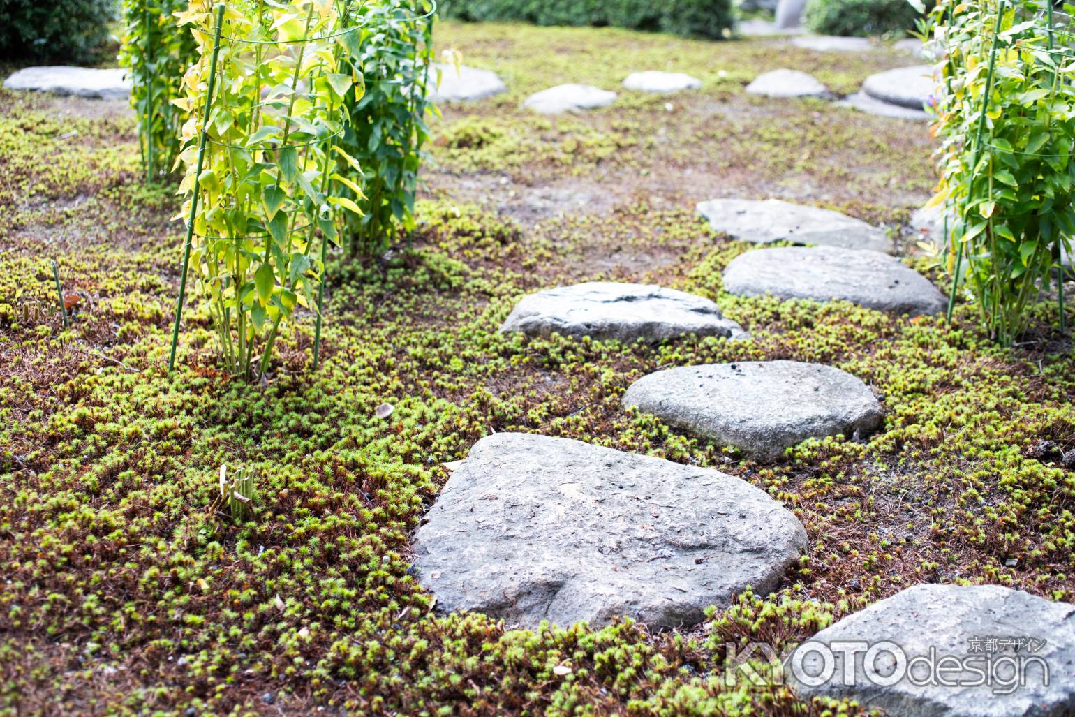 旧三井家下鴨別邸　庭園