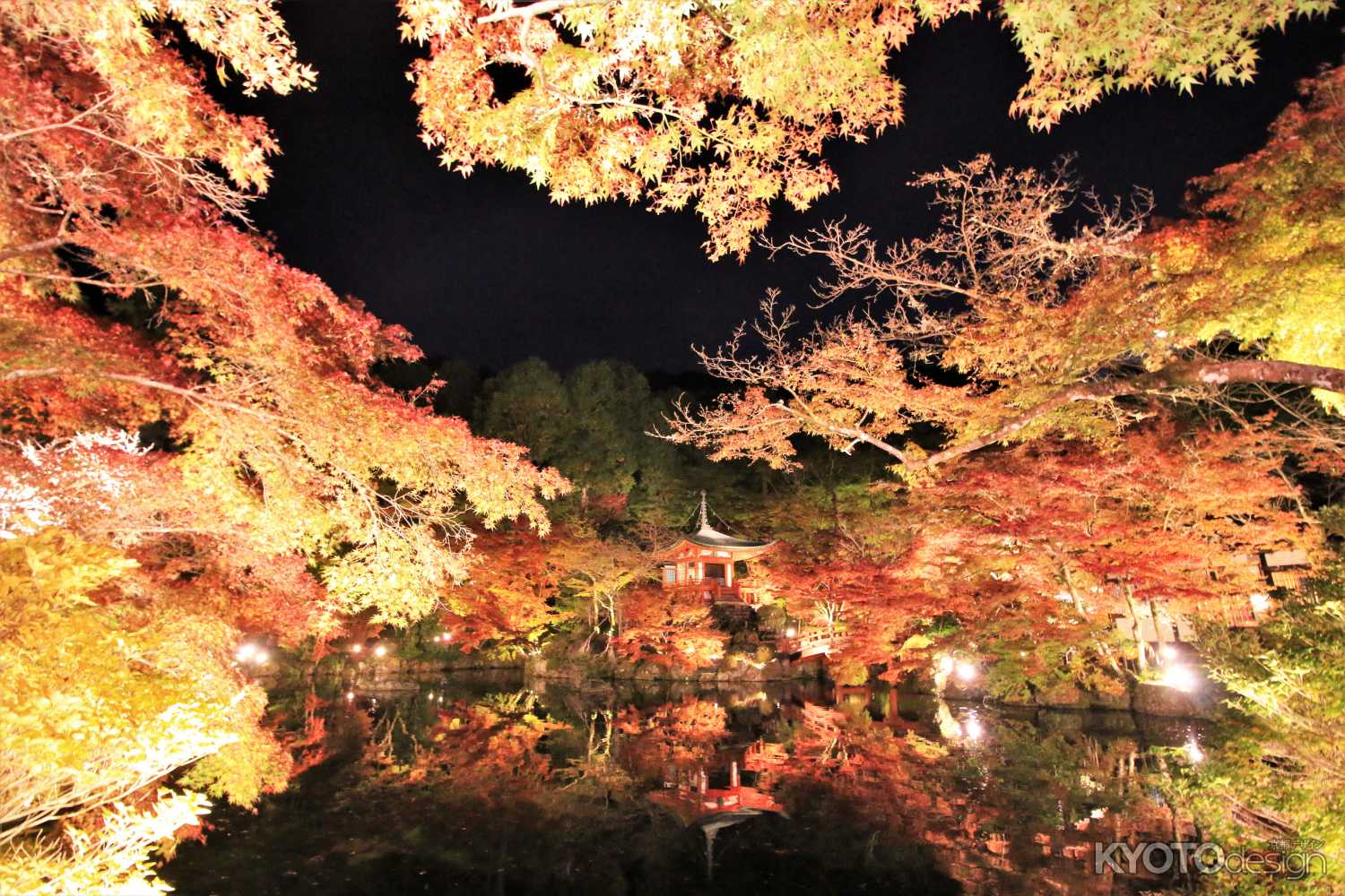 醍醐寺 秋期夜間拝観