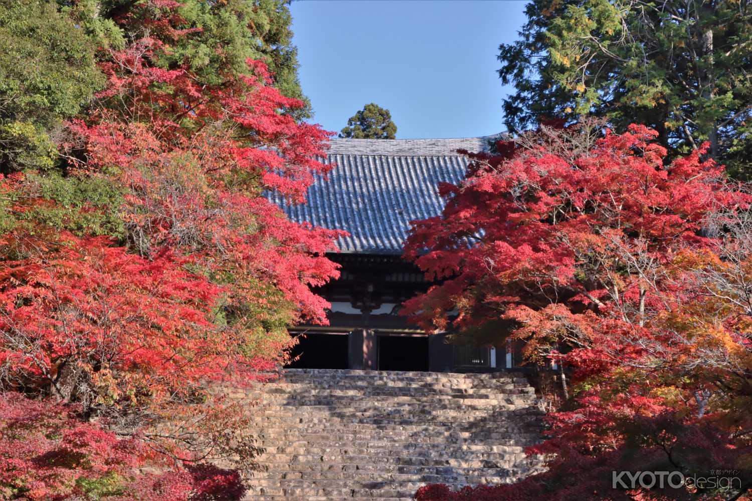 神護寺　大師堂特別公開