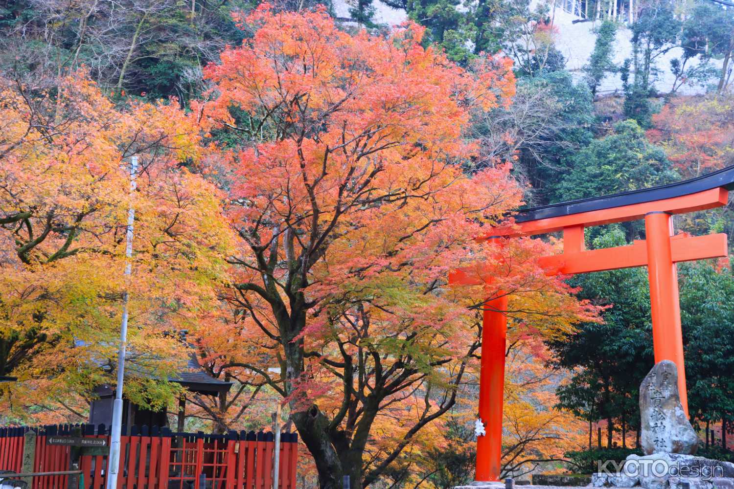 貴船もみじ灯篭