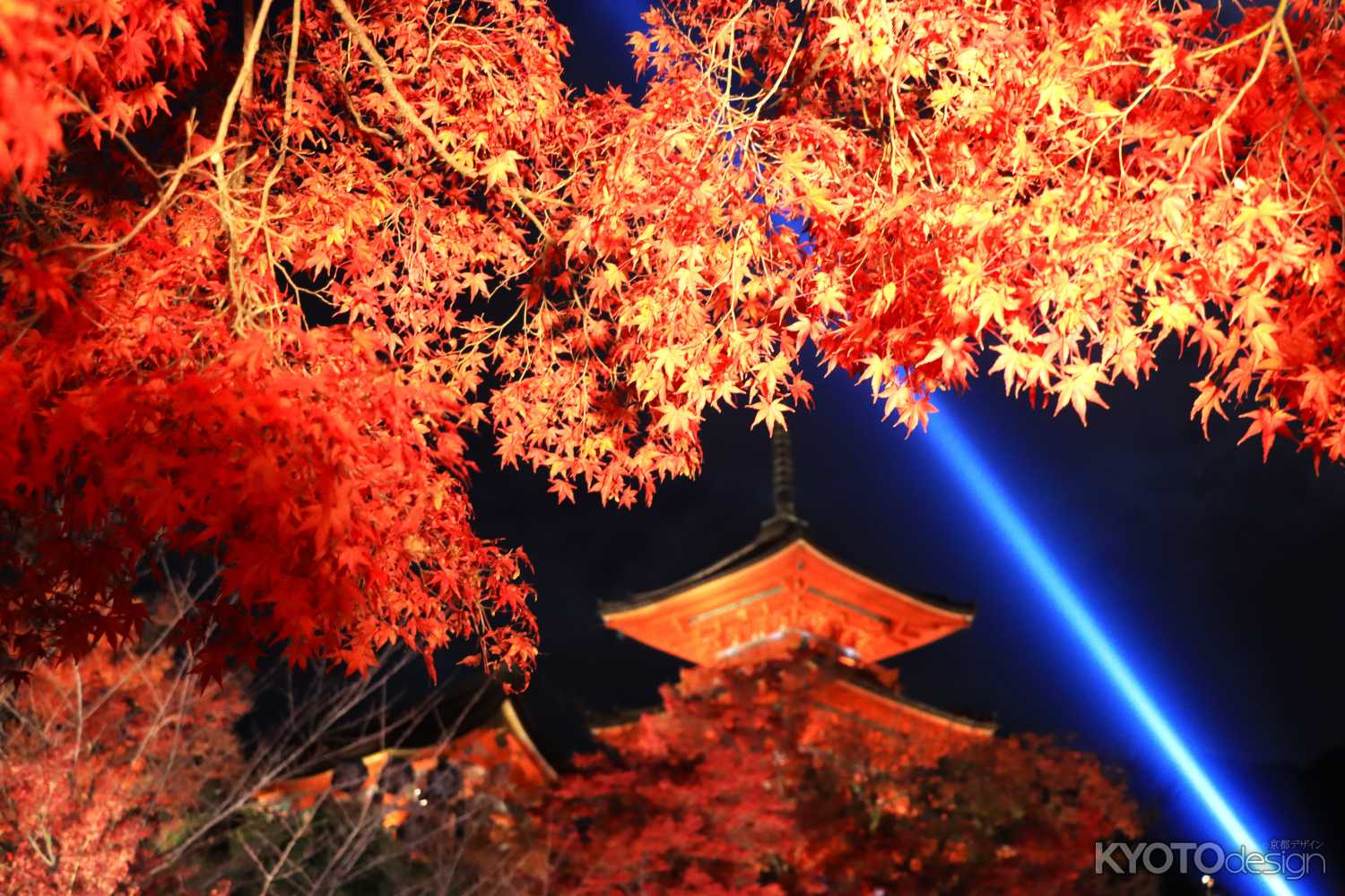 清水寺 夜間特別拝観