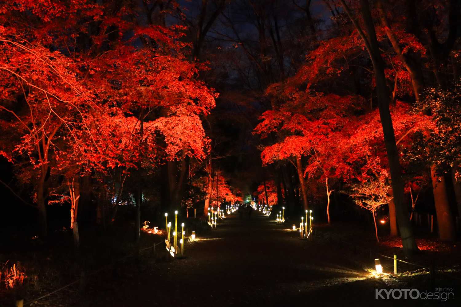 第62回 京都非公開文化財特別公開（下鴨神社）