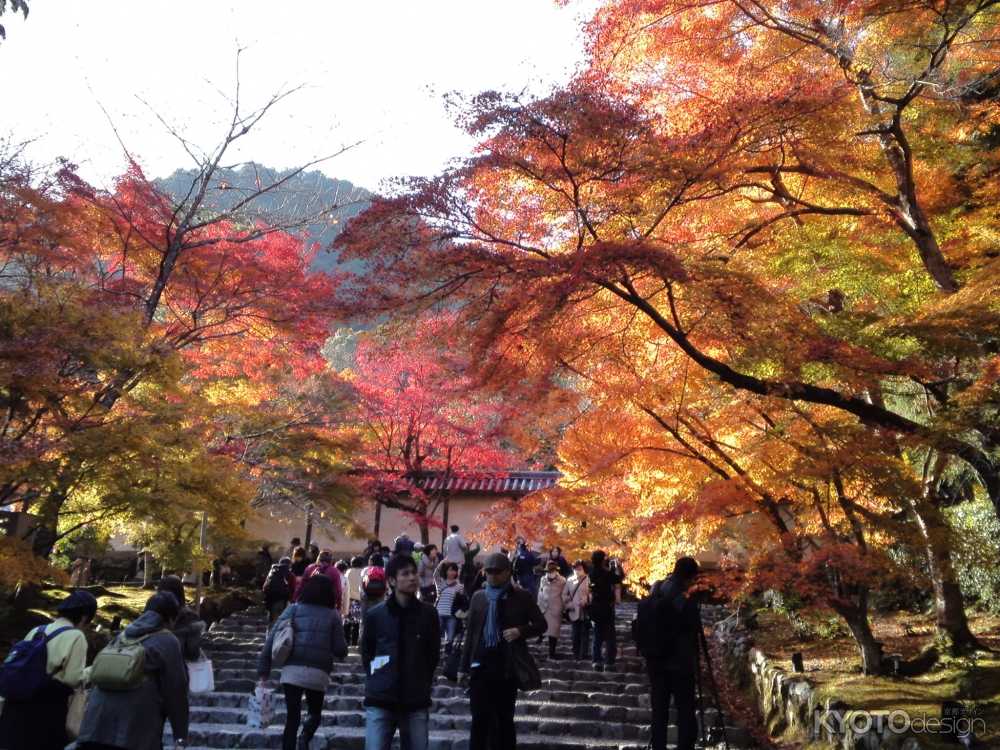 嵐山花灯路2014夜間特別拝観