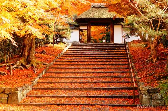 安楽寺 秋の特別公開