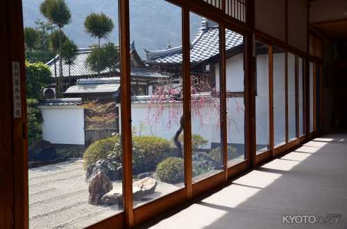 天龍寺塔頭弘源寺 春の特別公開