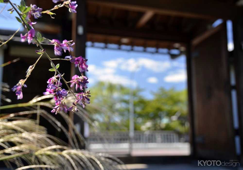 常林寺　萩供養 