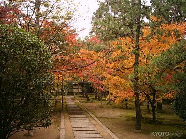 大徳寺塔頭　総見院・黄梅院・興臨院　秋の特別拝観