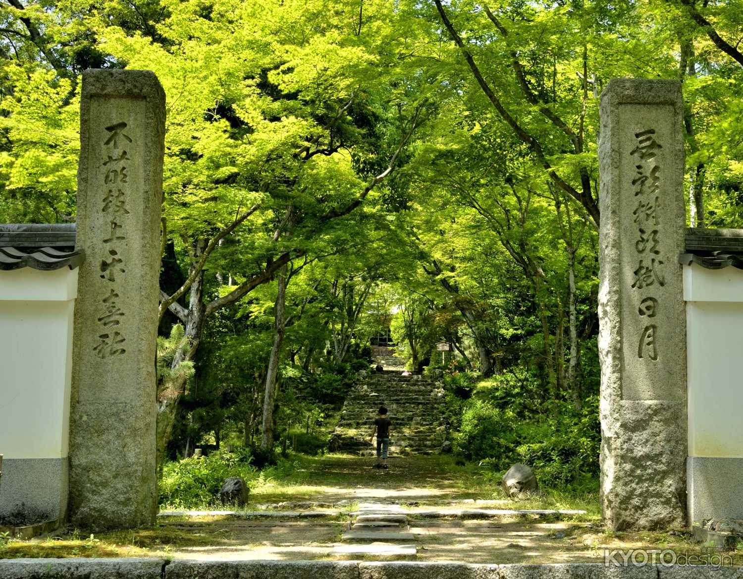 浄住寺 春の特別公開