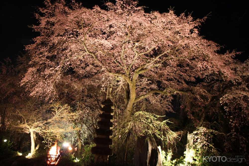 嵐山中之島公園 ライトアップ