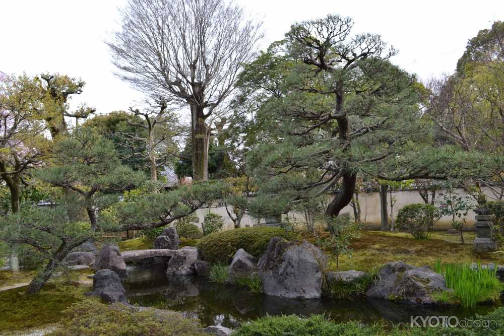 正伝永源院　春の特別庭園公開