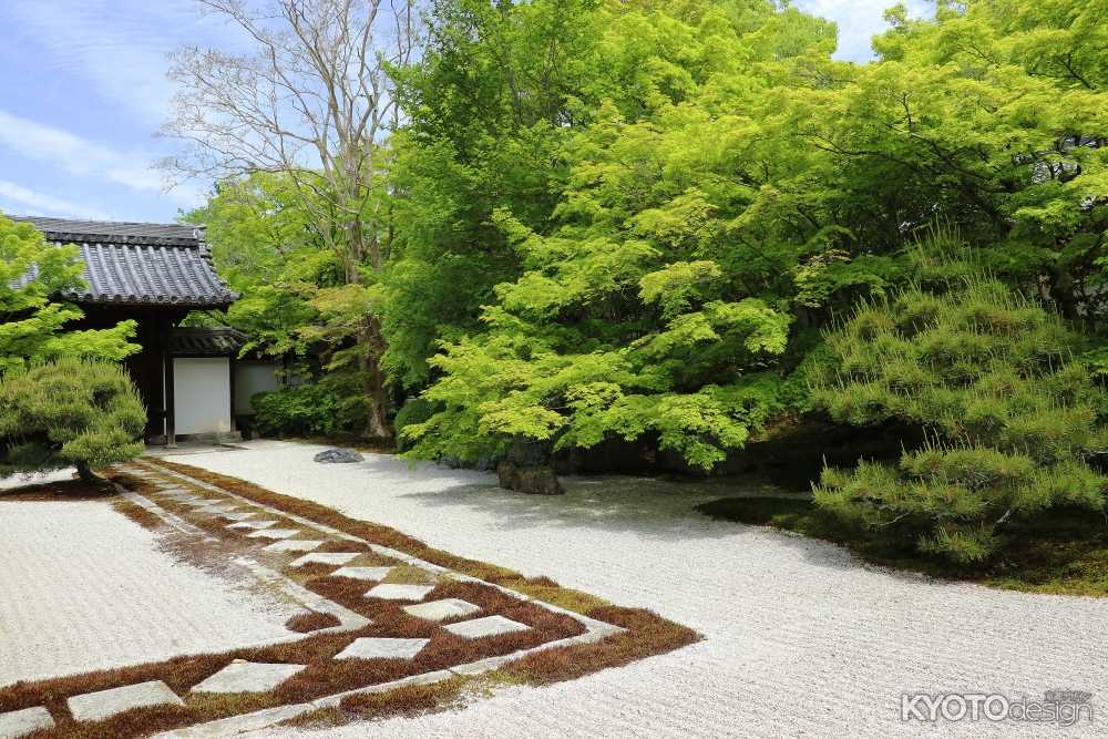 南禅寺塔頭 天授庵 重要文化財長谷川等伯襖絵三十二面複製一般公開