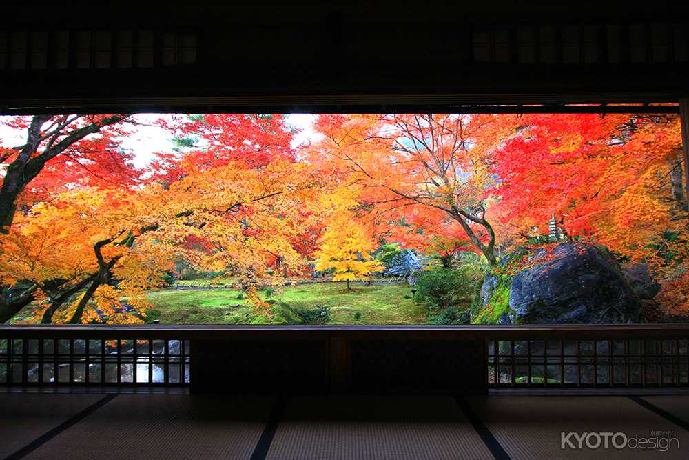 紅葉が美しい天龍寺塔頭 宝厳院で早朝の静寂なひとときを過ごす