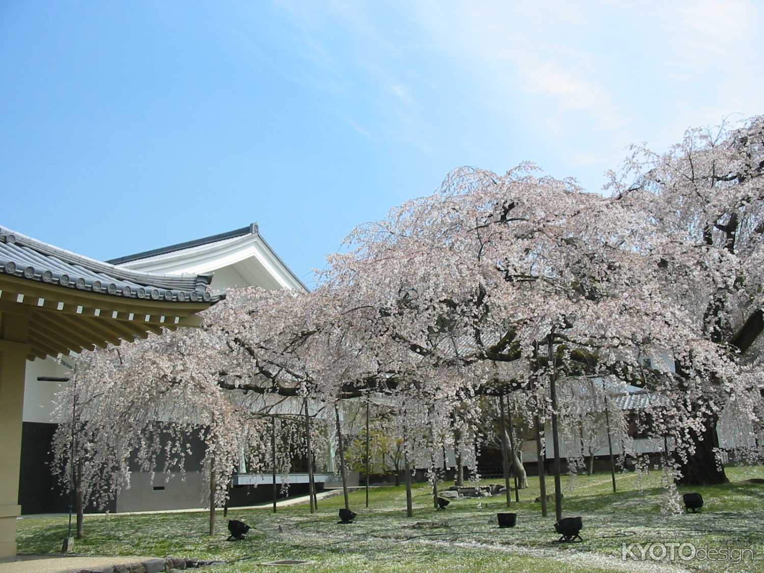 醍醐寺　霊宝館の春期特別展　