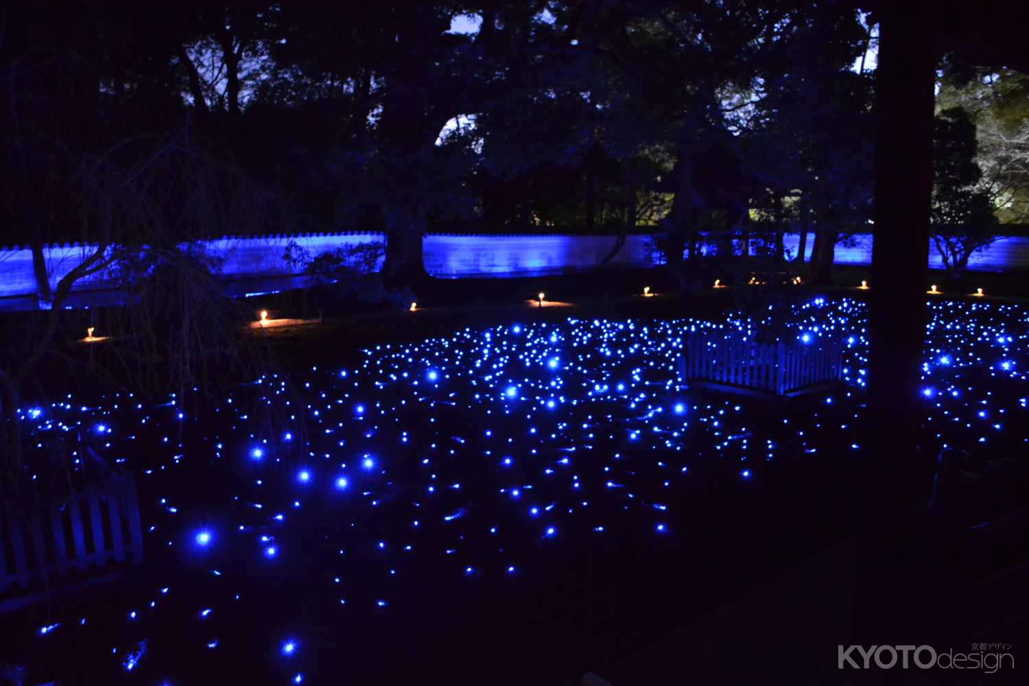 青蓮院　夜の特別拝観