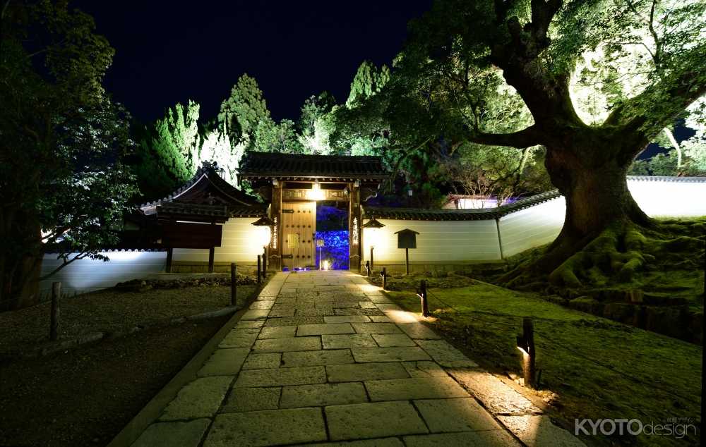 青蓮院　夜の特別拝観