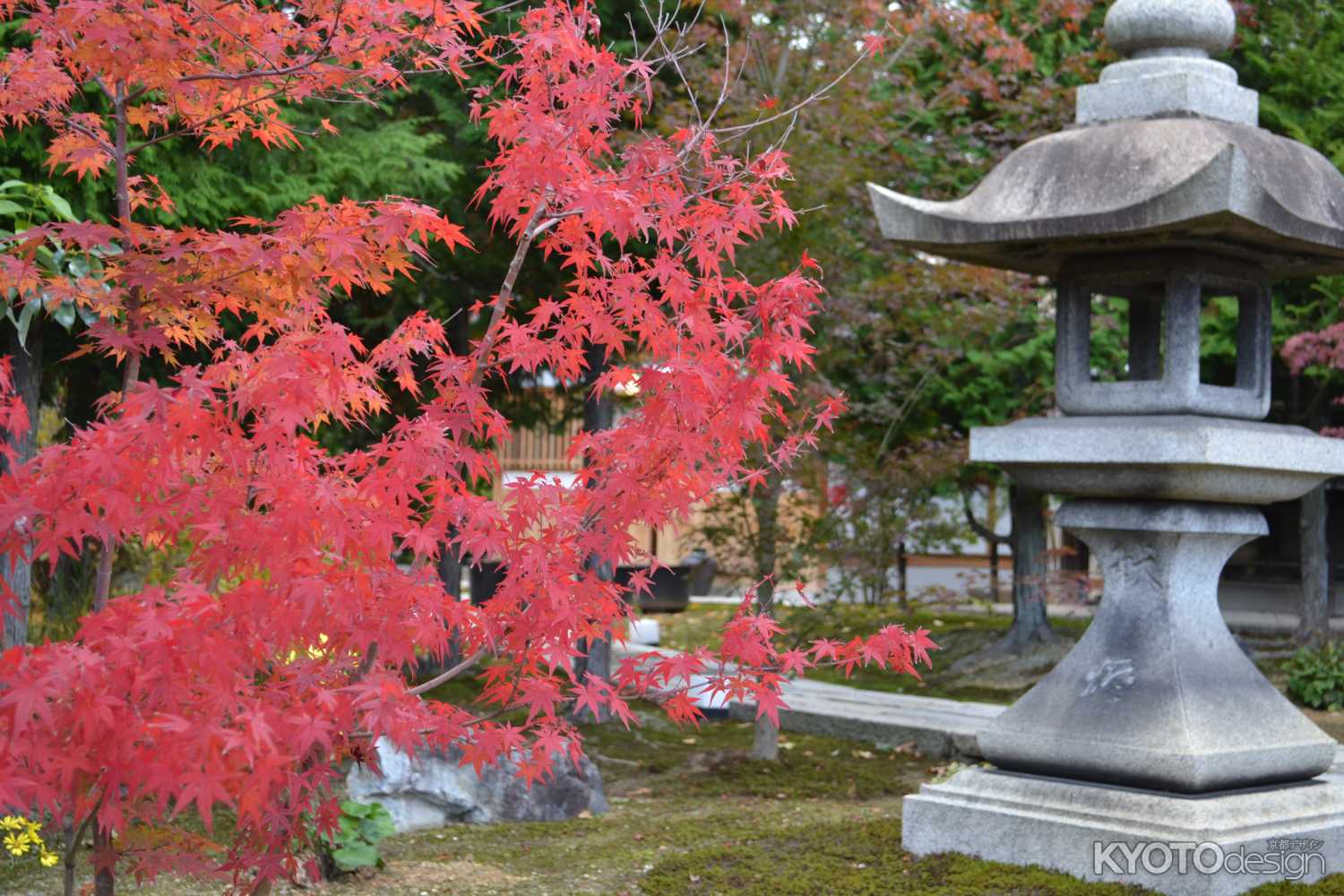 東福寺塔頭 勝林寺　秋の特別拝観