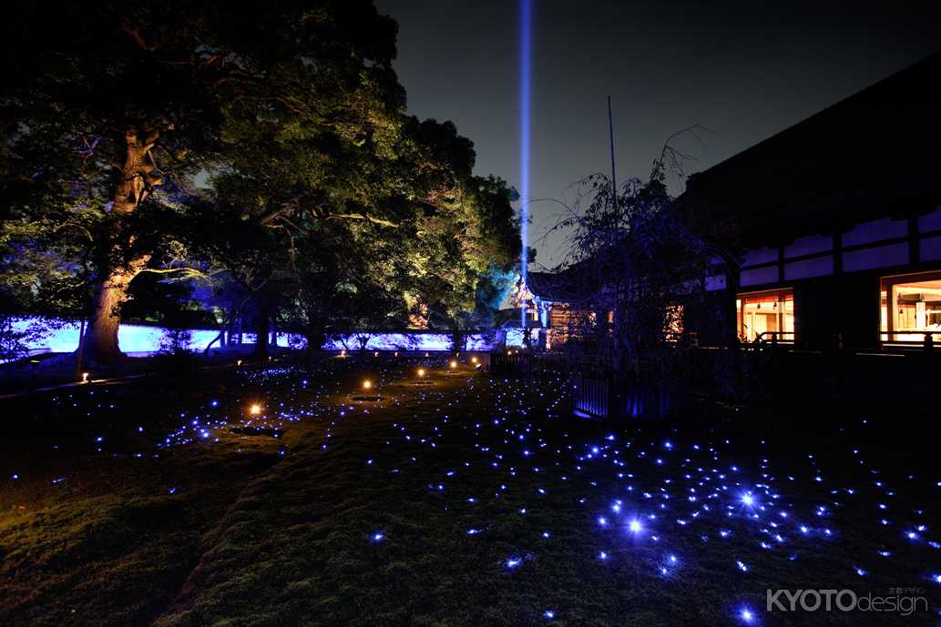 青蓮院 秋の夜間拝観