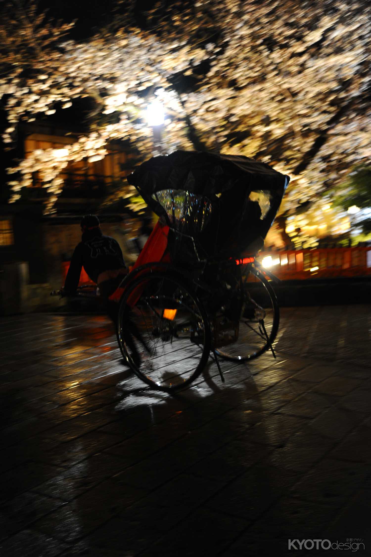 祇園白川さくらライトアップ