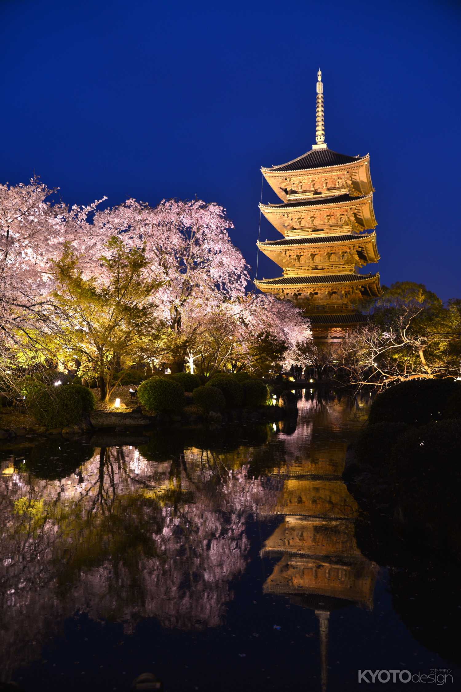 東寺の春　ブルーモーメント