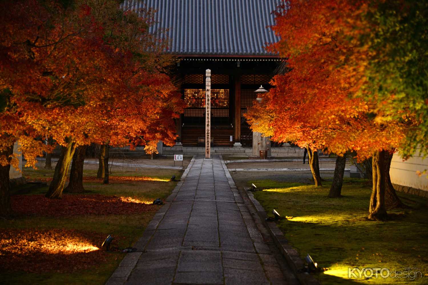 妙顕寺 夜間特別拝観