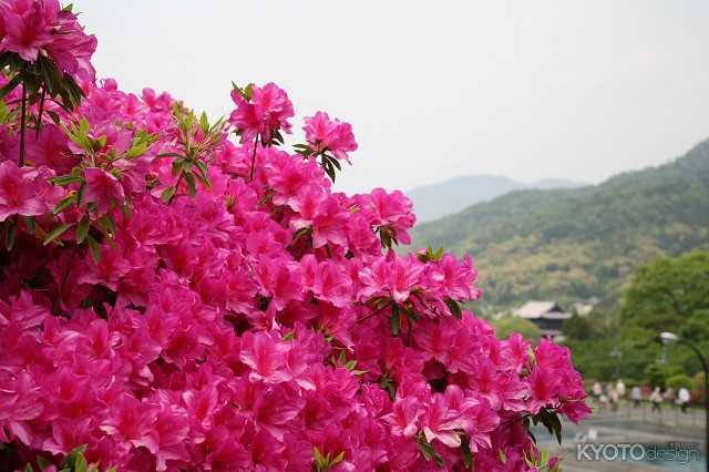 蹴上浄水場の一般公開（中止）