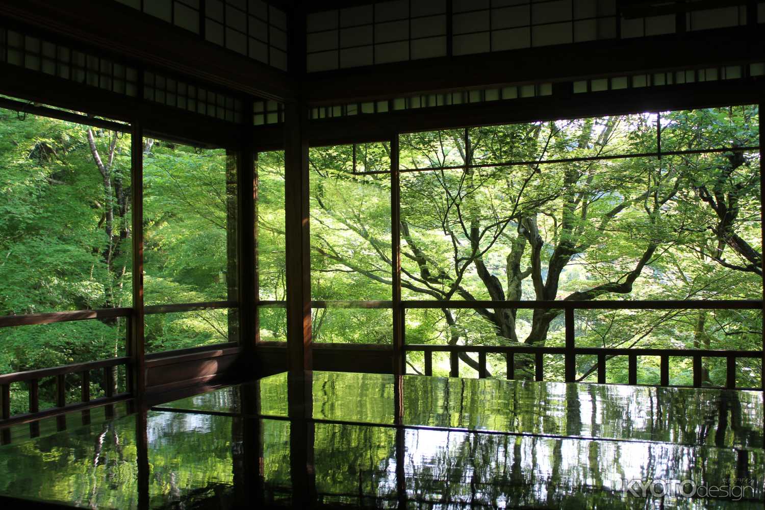 瑠璃光院 夏の特別拝観