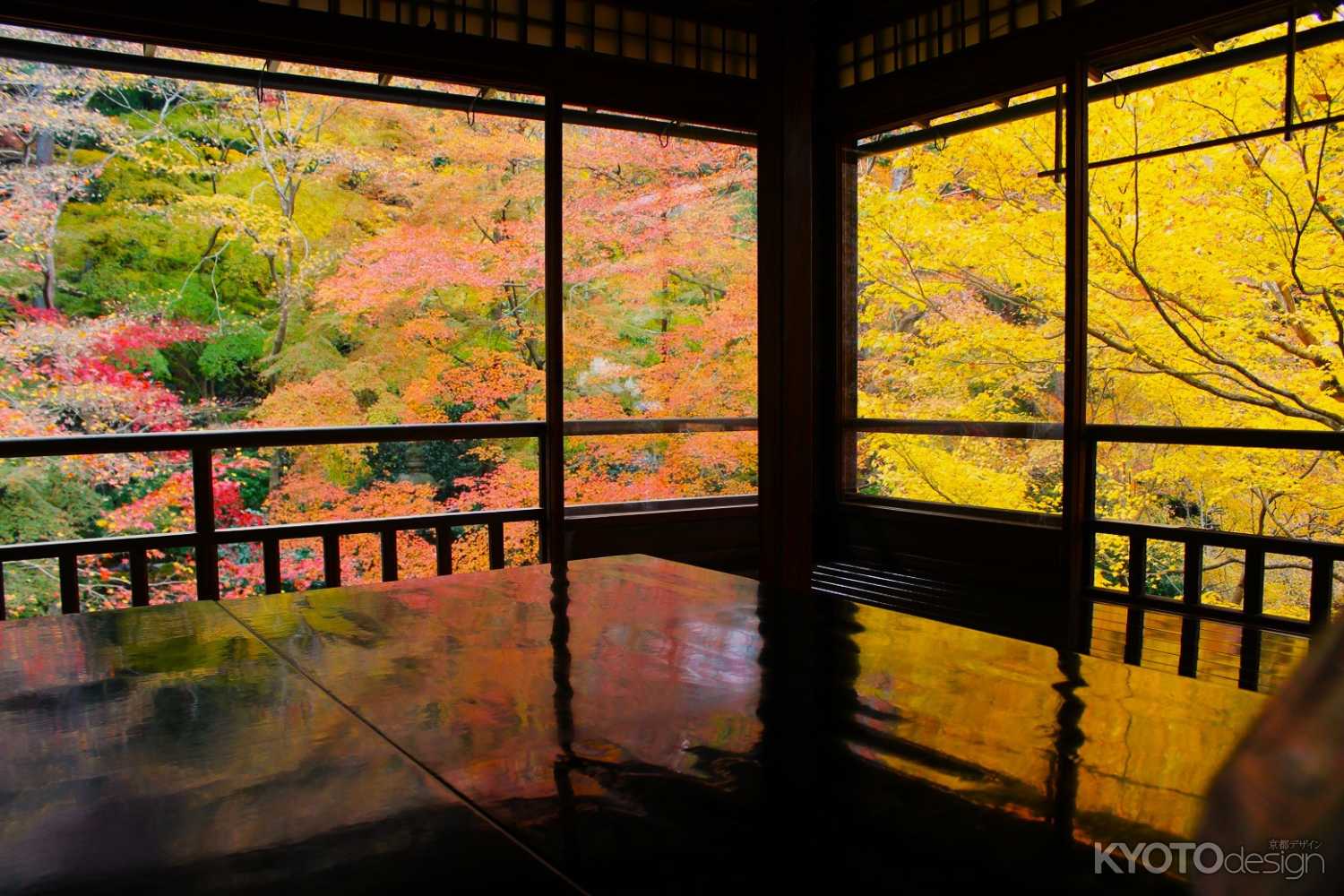 瑠璃光院　秋の特別拝観