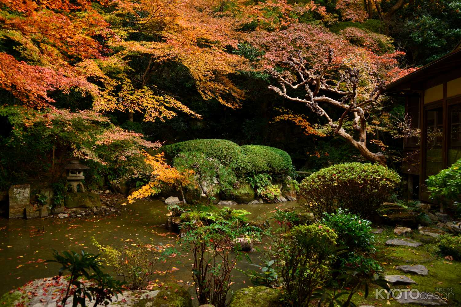 長楽寺 夜間拝観