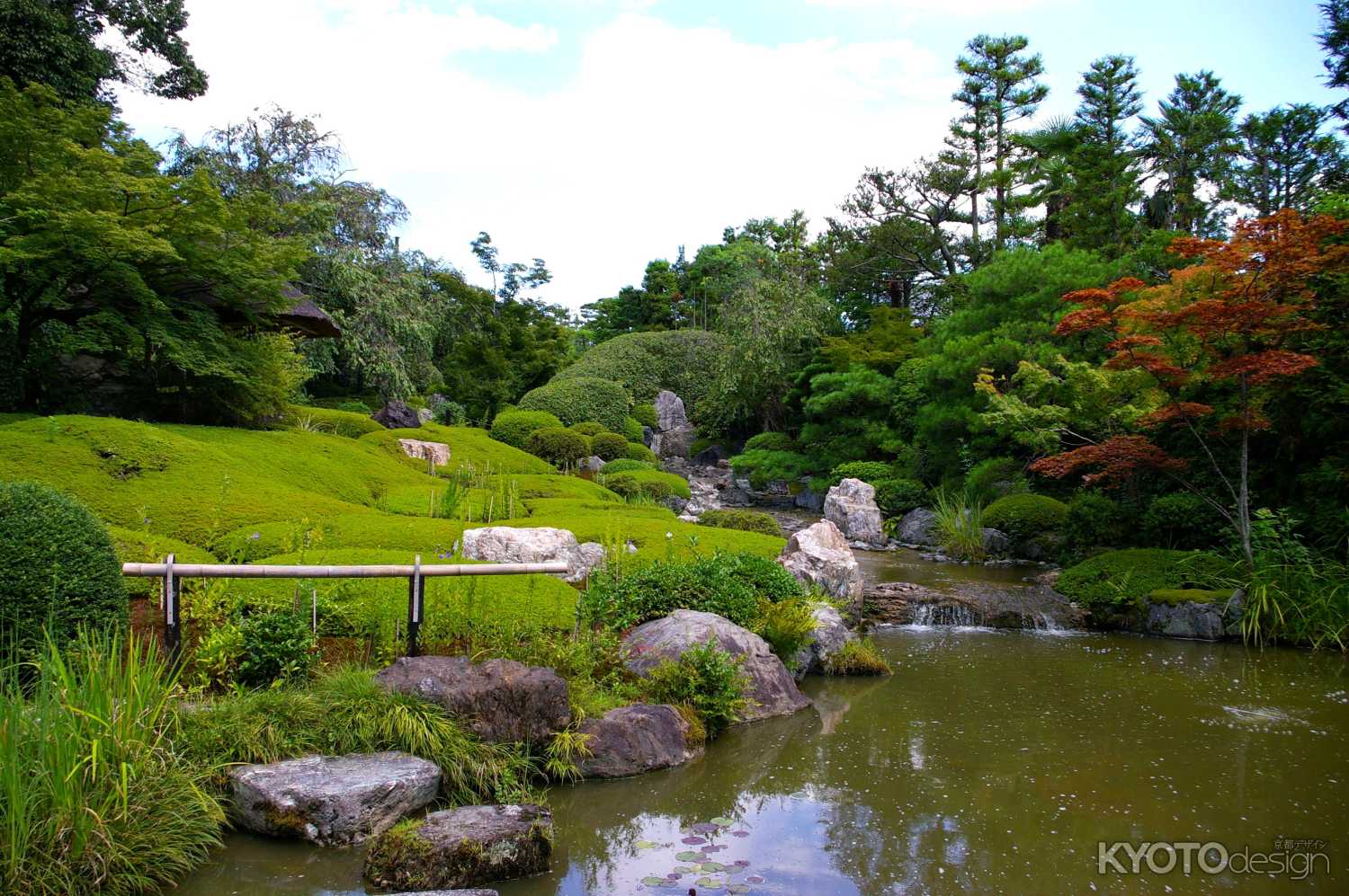 退蔵院 観月茶会