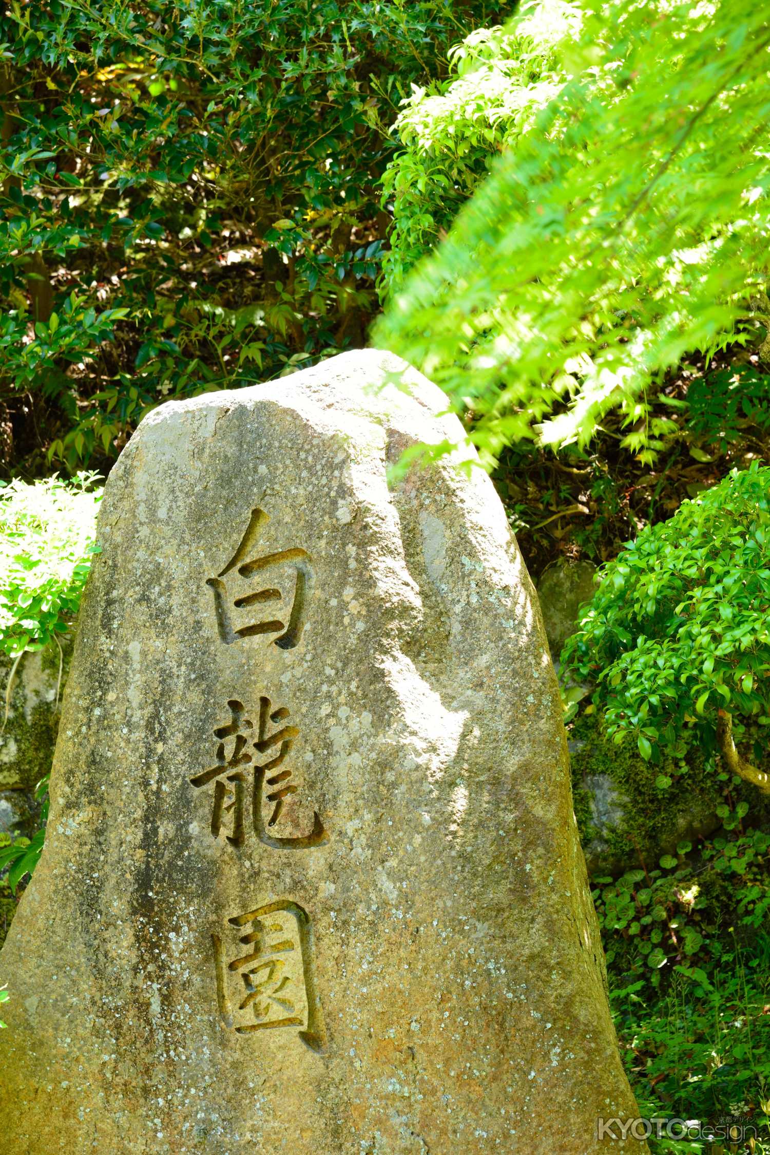 新緑の白龍園