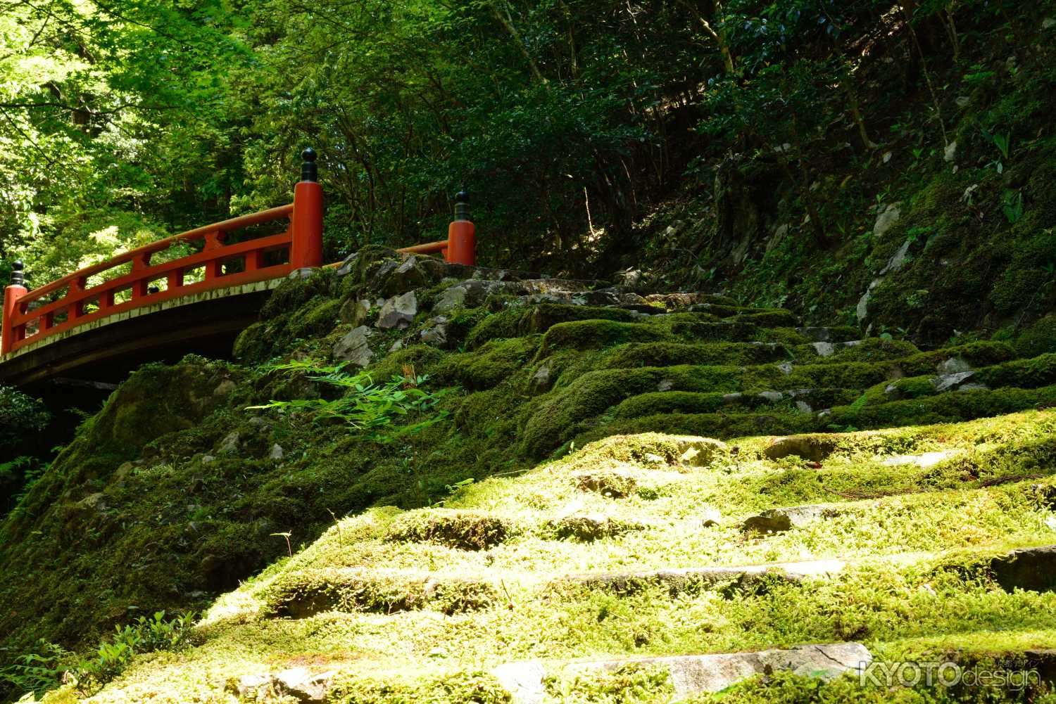 新緑の白龍園