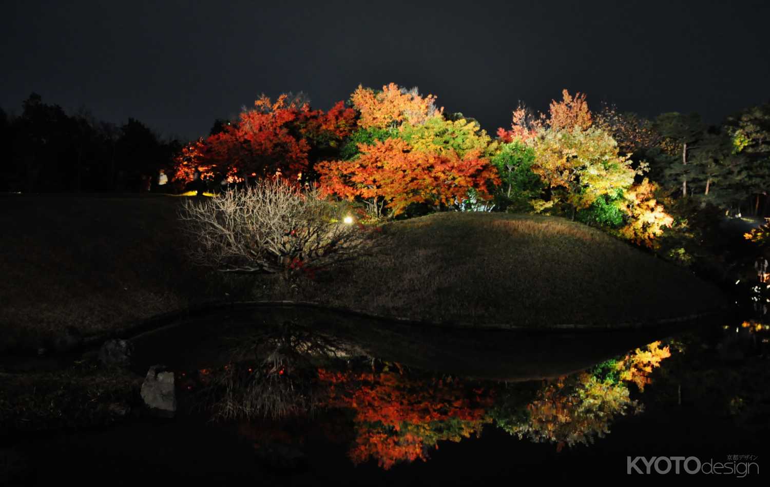 梅小路公園 紅葉まつり