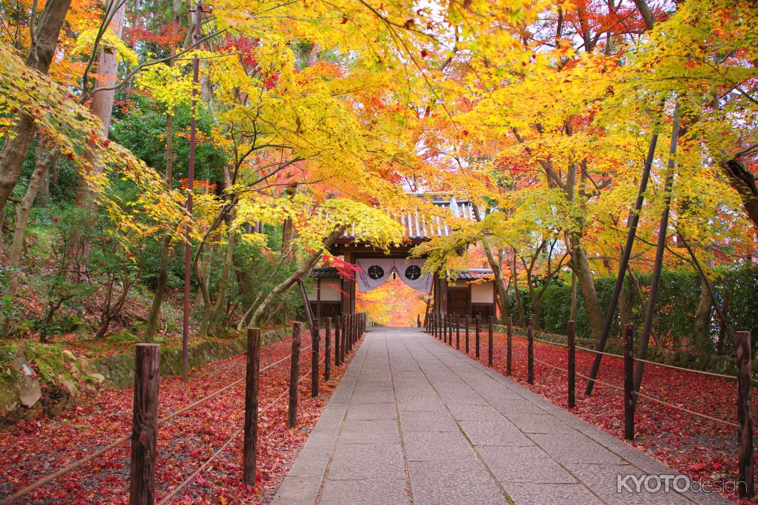 秋色の薬医門参道