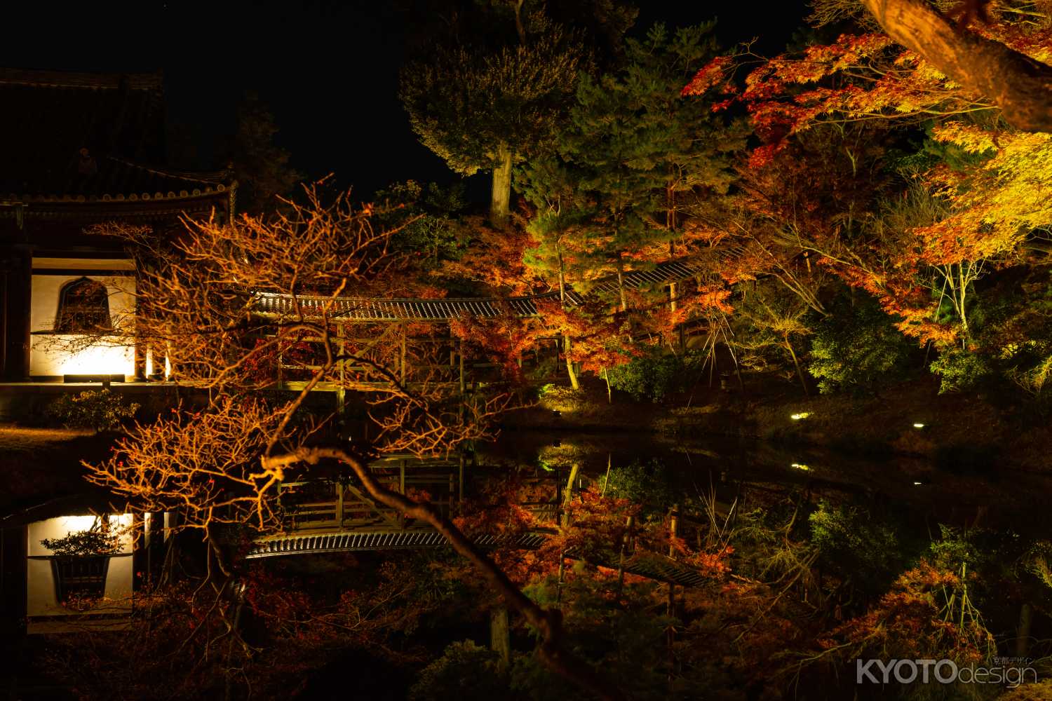 高台寺紅葉