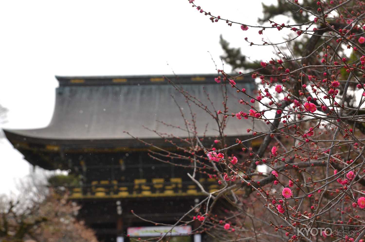 筆始祭・天満書
