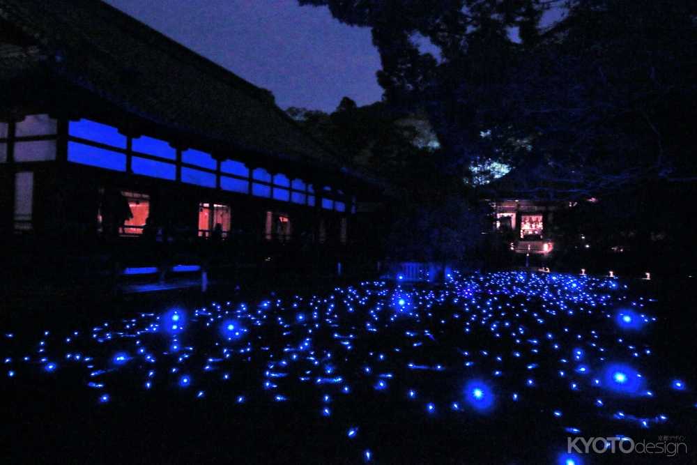 青蓮院 秋の夜間拝観（中止）