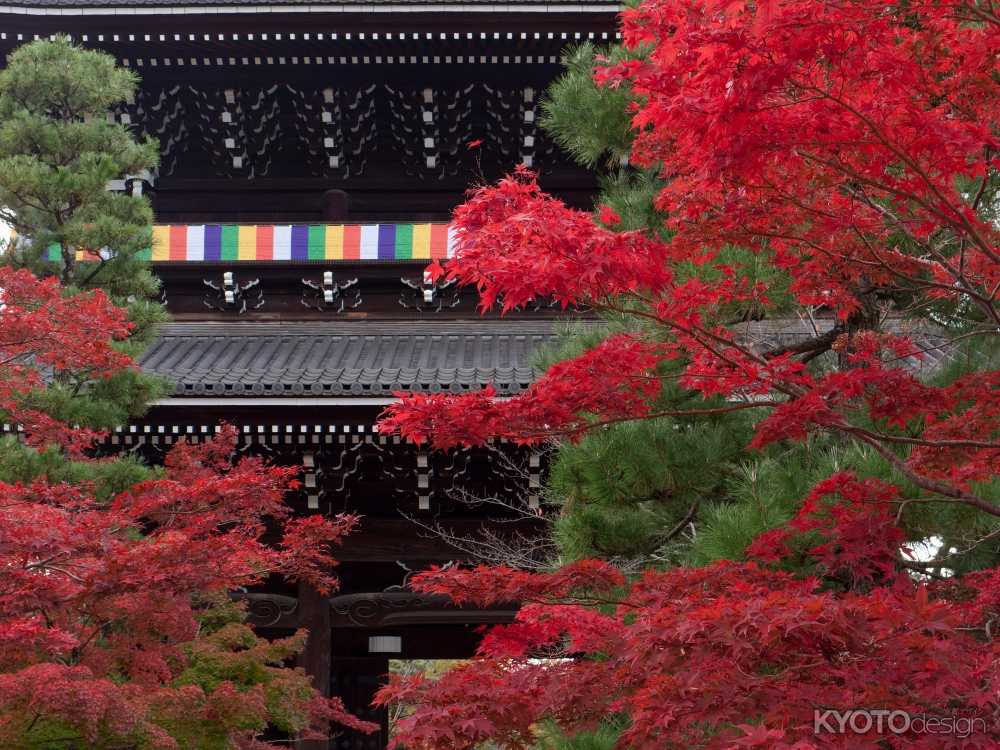 金戒光明寺　秋の特別公開