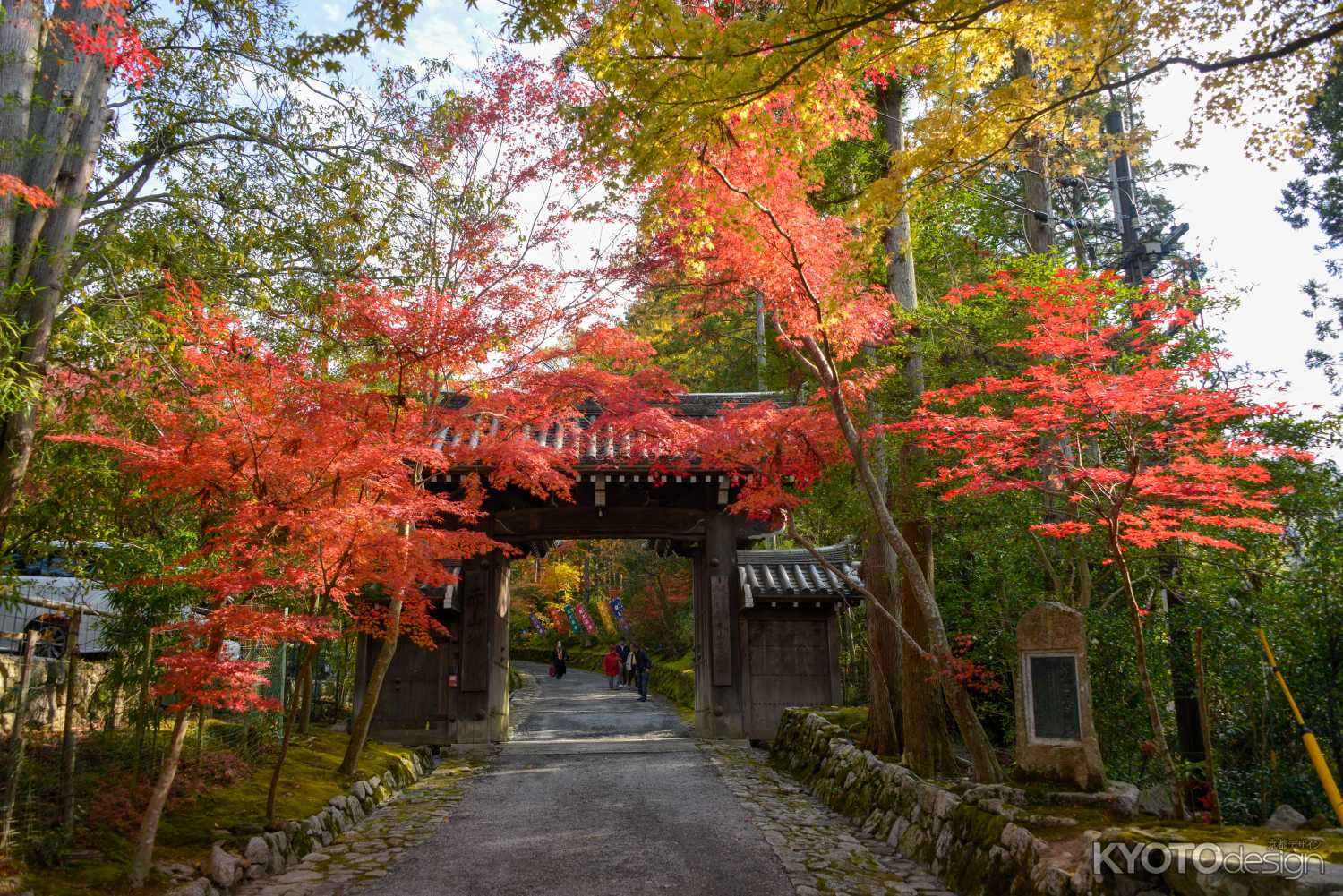 赤に色づく参道