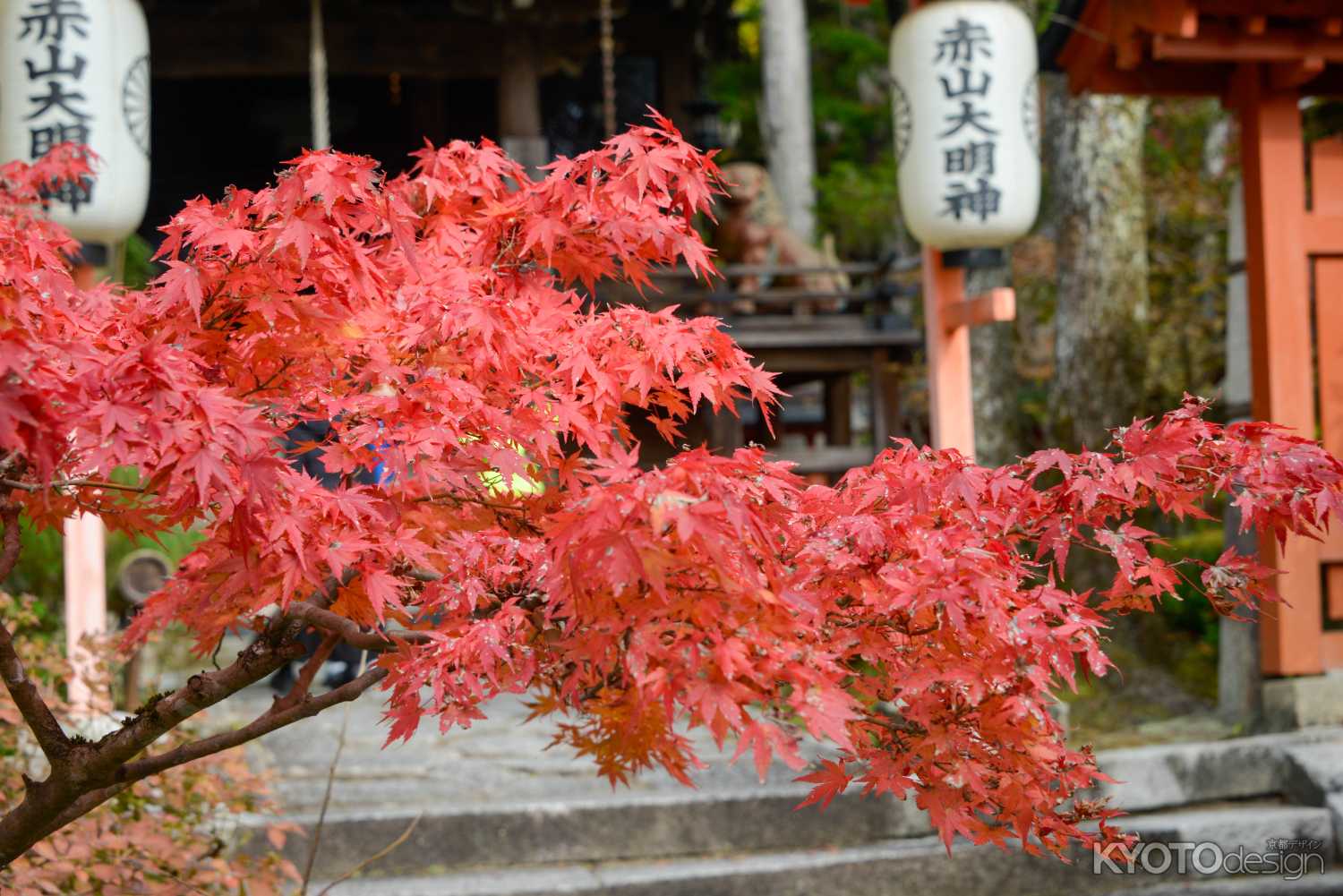 赤く紅く朱く