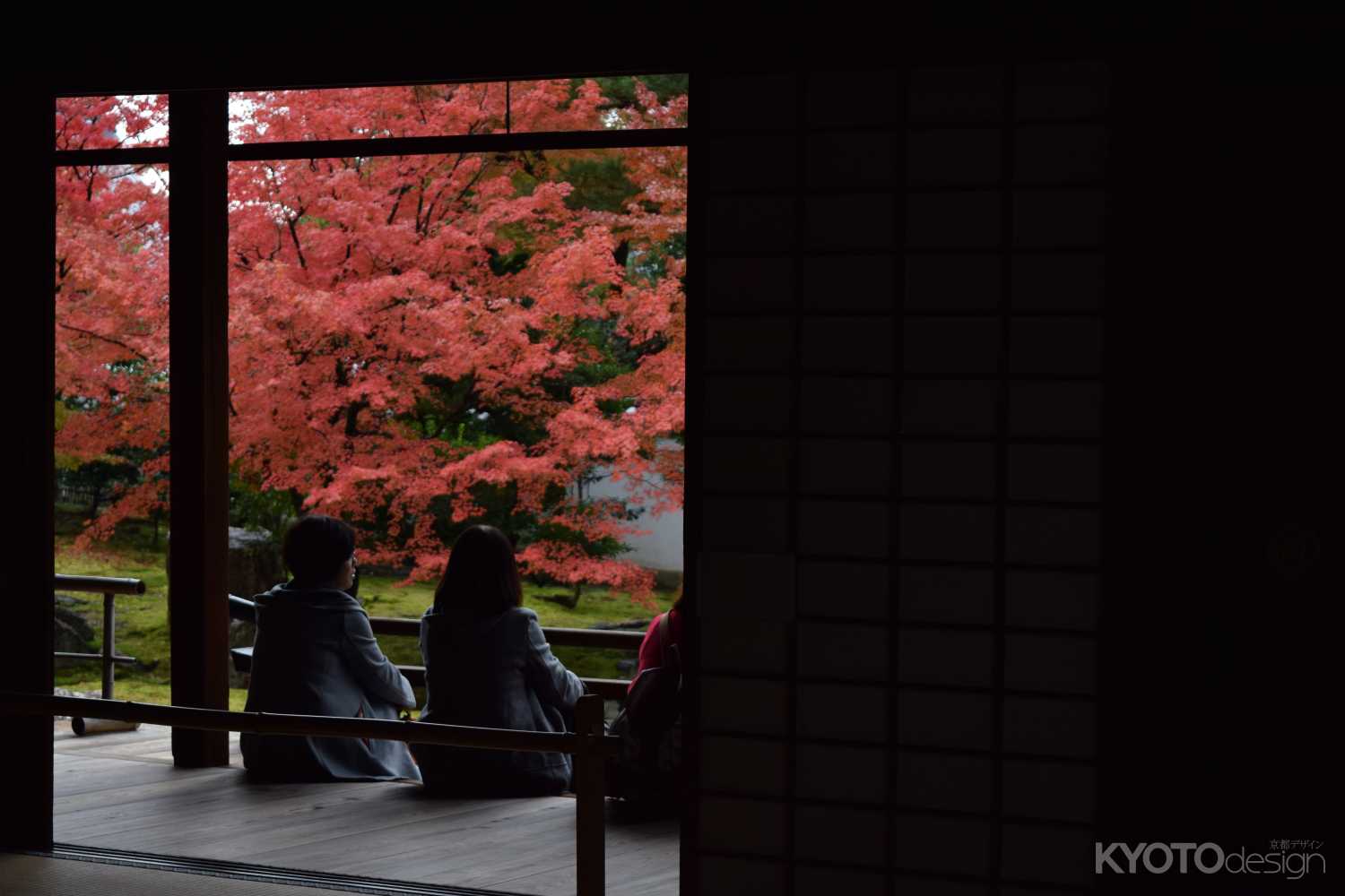 相国寺 秋の特別拝観