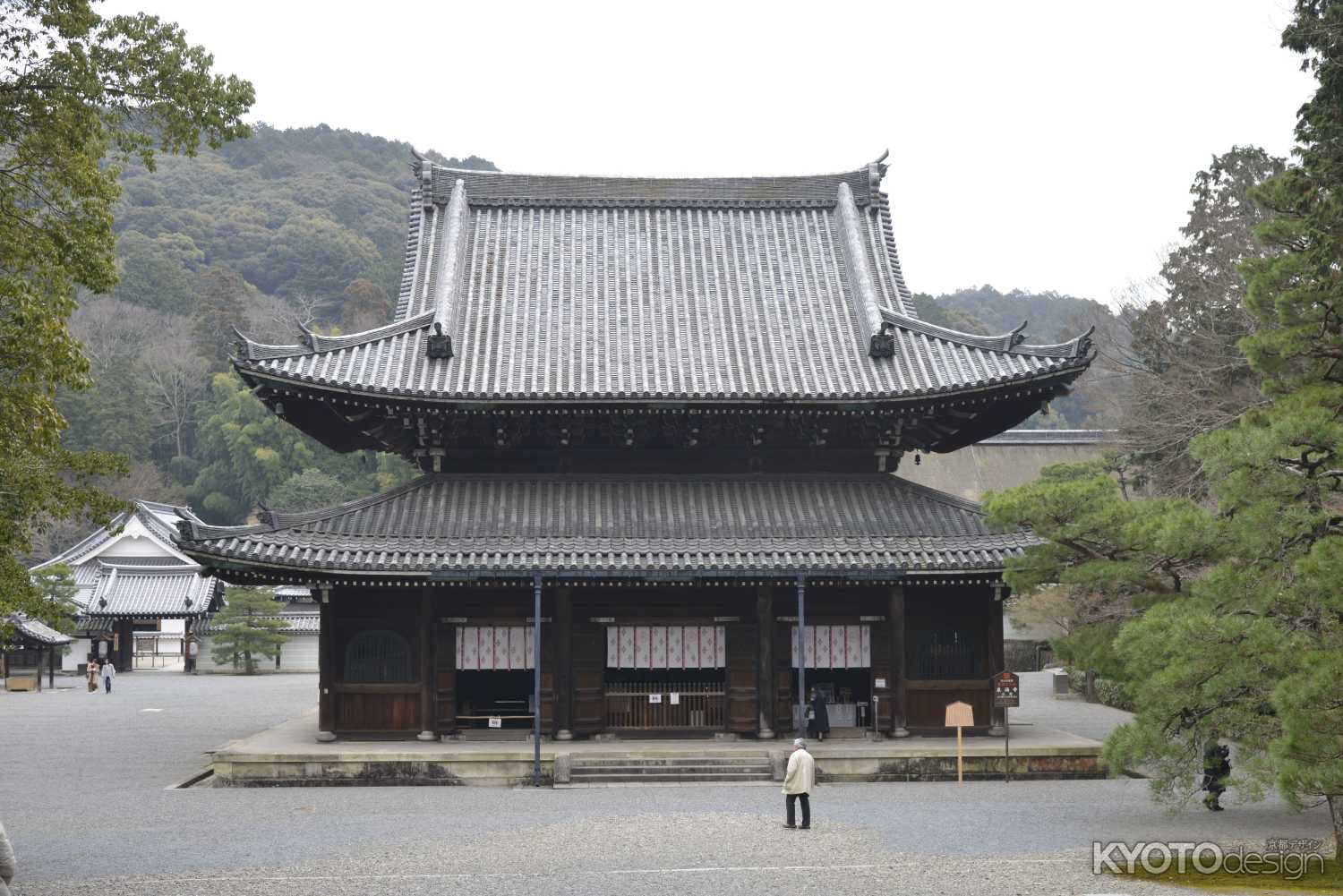 泉涌寺 菊花展