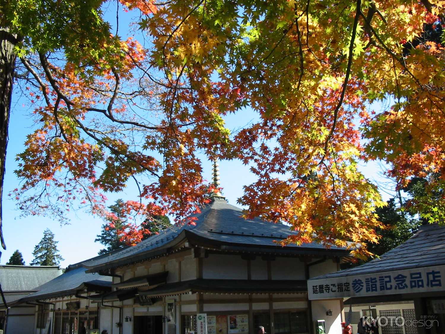 比叡山もみじ祭り