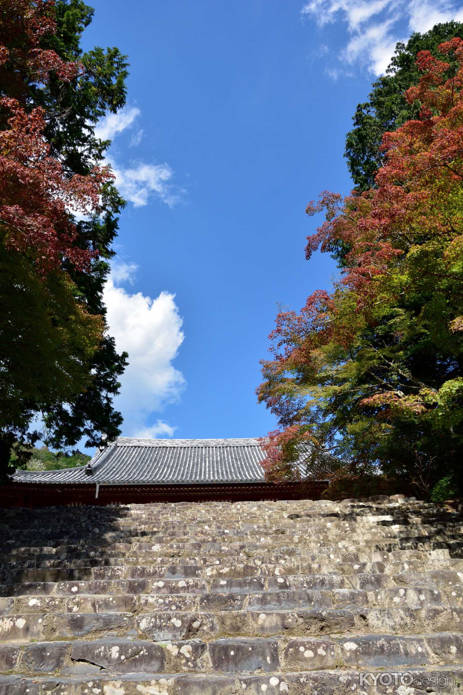 多宝塔 五大虚空蔵菩薩像御開帳