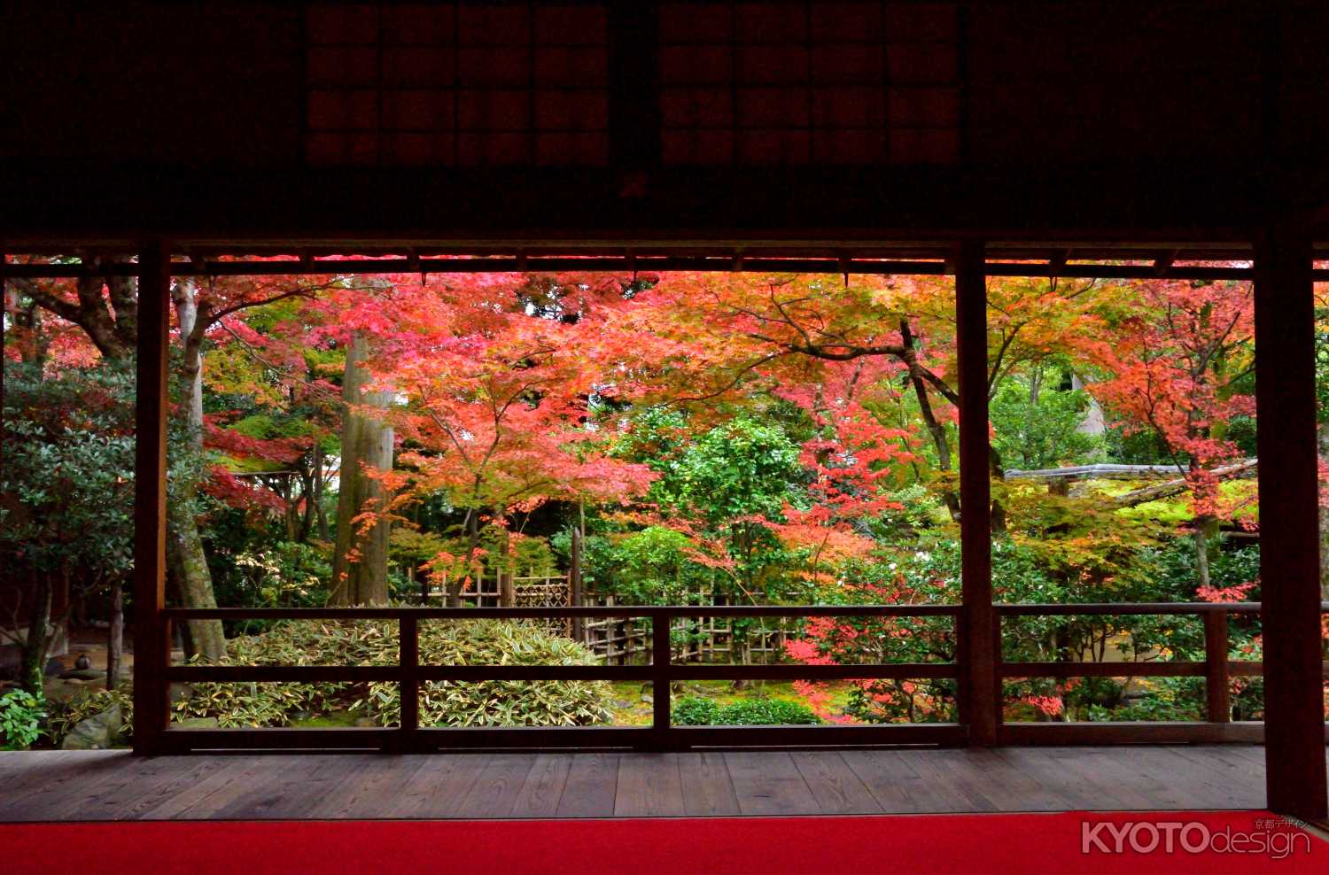 妙心寺 大法院 紅葉の露地庭園特別公開・秋季特別公開