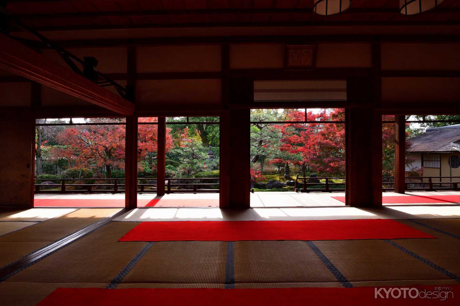 正伝永源院 秋の庭園特別公開